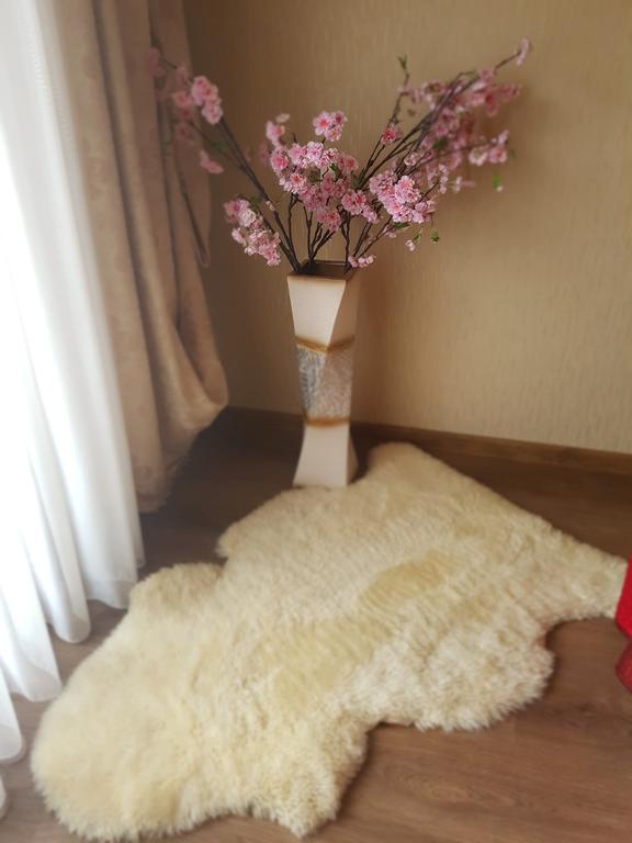 Riga Airport Apartment Экстерьер фото